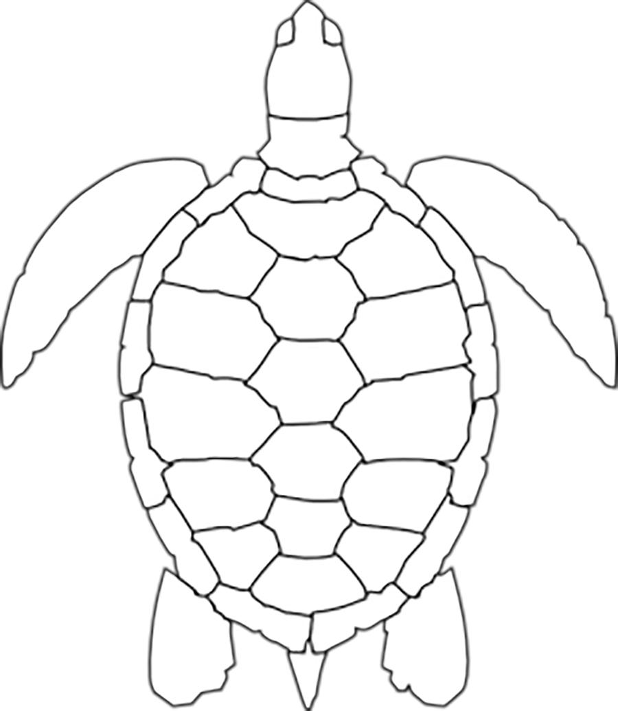 Розмальовки контур черепаха трафарет, тварини 