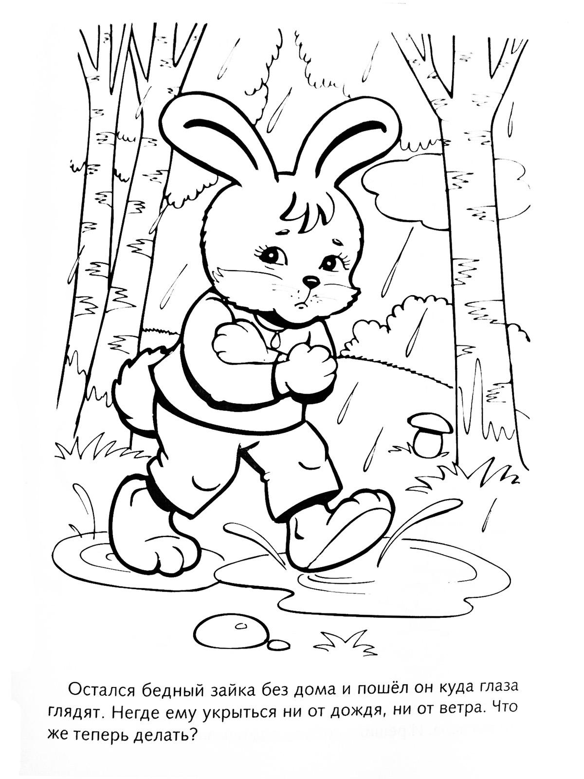 Розмальовки розмальовки для дітей за казками Зайчик йде по лісу а на вулиці йде дощик і зайчик весь промок 