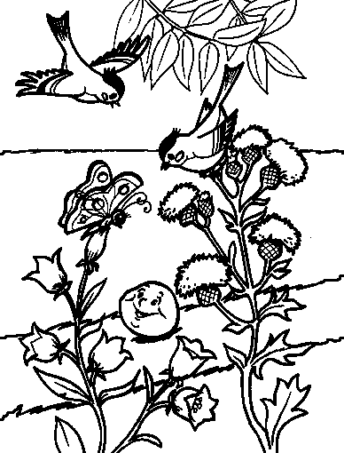 Розмальовки казками Колобок котиться по стежці й на нього дивляться пташки і бобочком